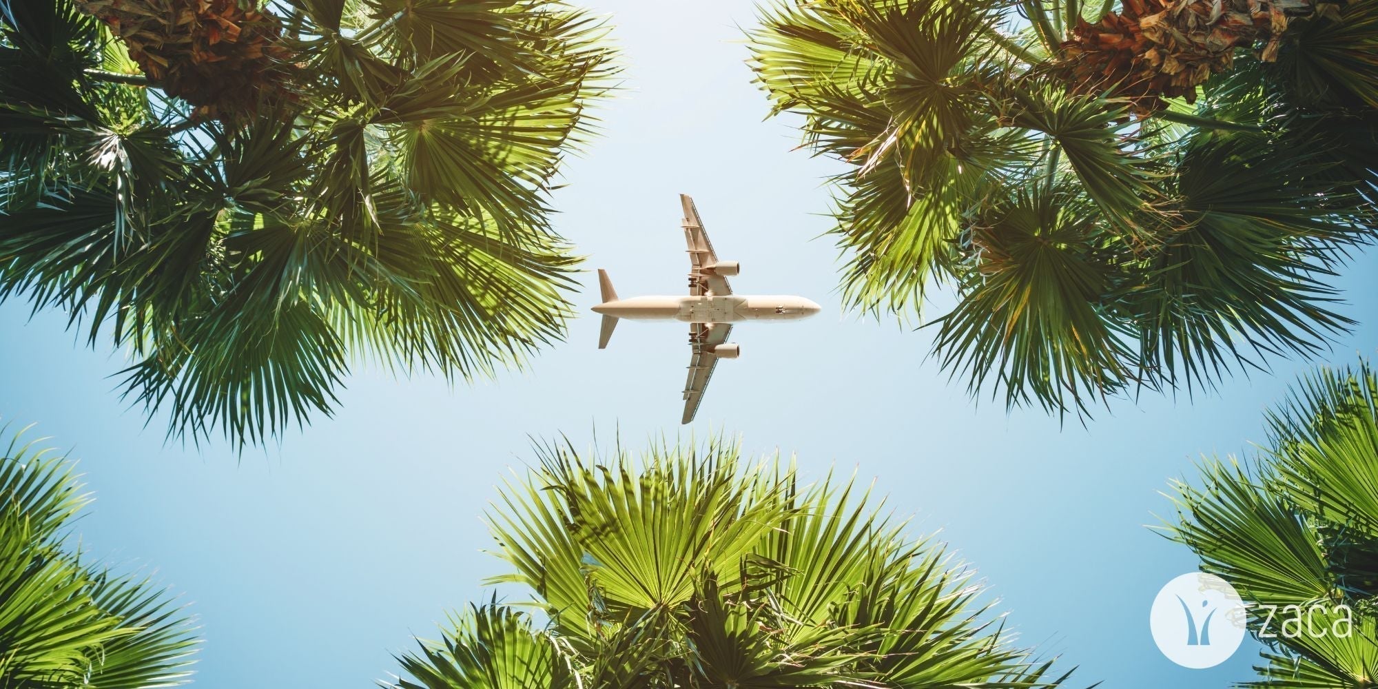 15 Travel Essentials For Long Flights (and How to Survive Jet Lag) - Zaca