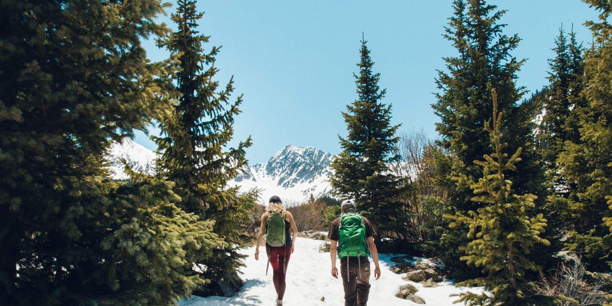 Buena Vista Altitude