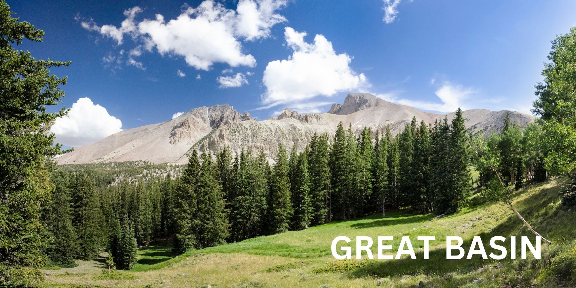 Great Basin National Park Elevation