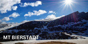 Mount Bierstadt altitude