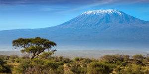 Mount Kilimanjaro Altitude Sickness