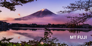 Mt Fuji Altitude Sickness