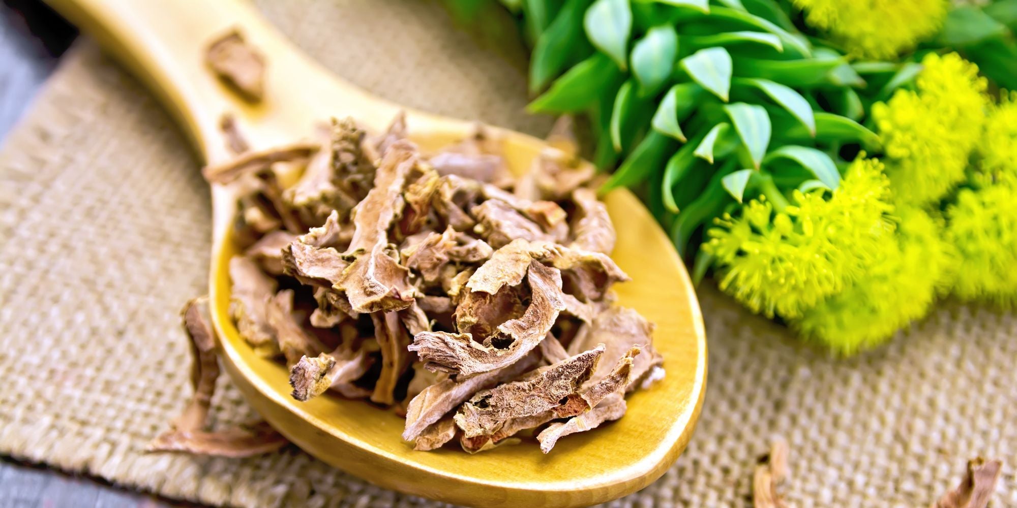 Rhodiola For Altitude Sickness