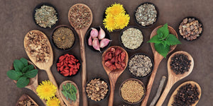 Herbs For Liver Support