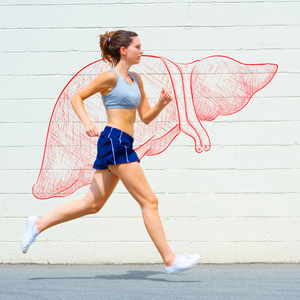 Discover How Your Liver Is Proven To Help Workouts
