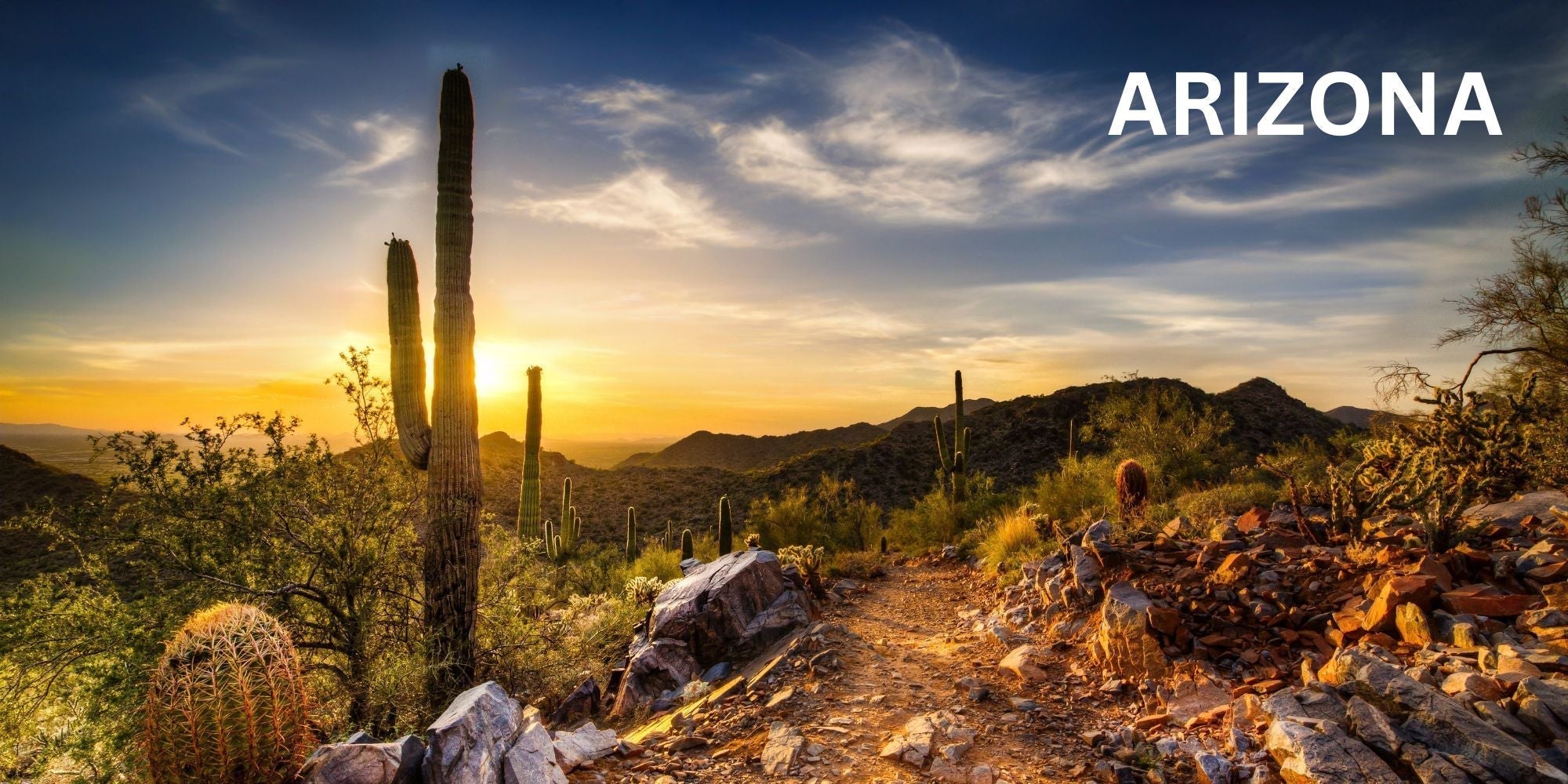 Arizona Altitude: Conquering Desert High Country - Zaca