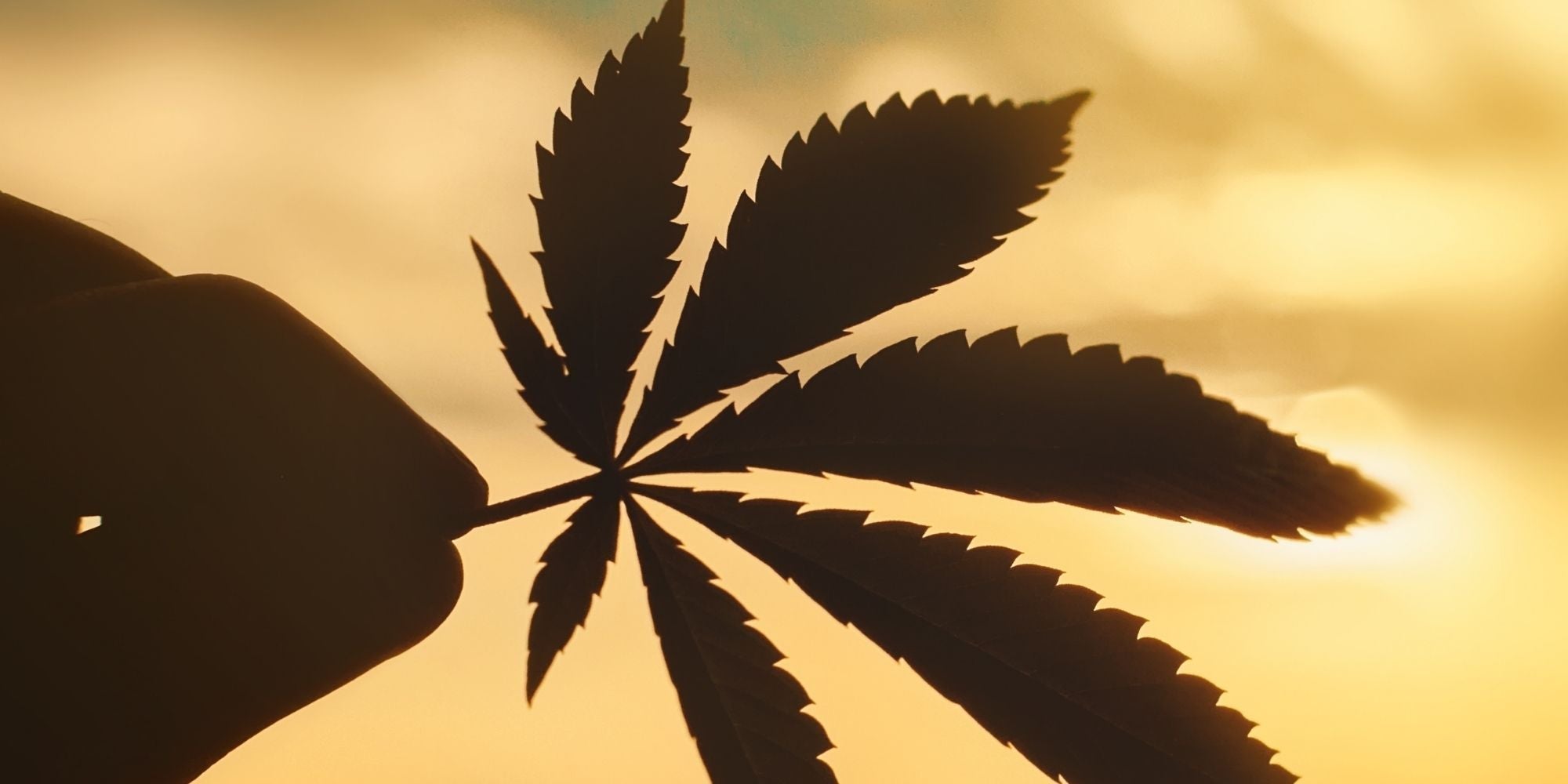 Does CBD Help With Altitude Sickness? - Zaca