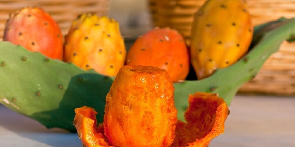 Prickly Pear Benefits - Zaca