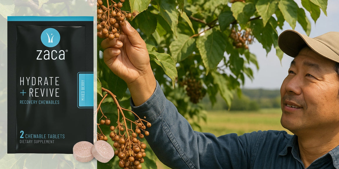 Buy Hovenia Dulcis Extract